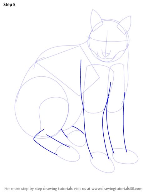 Step By Step How To Draw A Eurasian Lynx