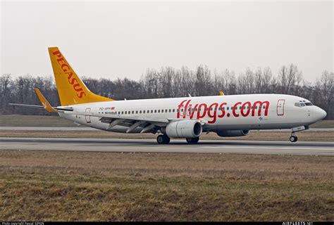 Pegasus Airlines Boeing 737 NG Max TC APH Photo 65968 Airfleets