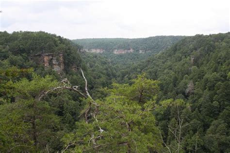 Fall Creek Falls Via Gorge Overlook Trail Hikethesouth