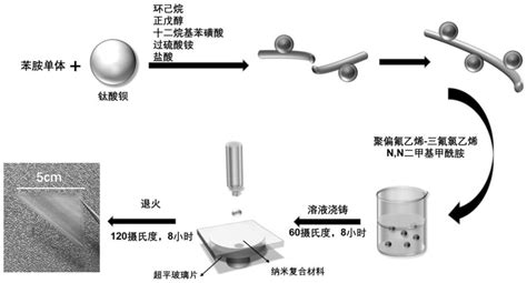 Bto Pani Nfs纳米纤维的制备方法和应用