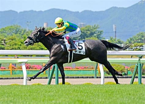 【函館2歳未勝利戦】チギリ 楽々抜け出し初v 横山武「今日は自信がありました」― スポニチ Sponichi Annex ギャンブル