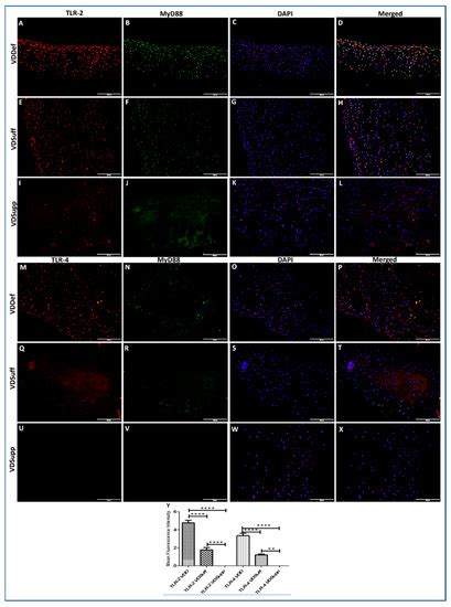 Antibodies Free Full Text Il 33 Il 37 And Vitamin D Interaction