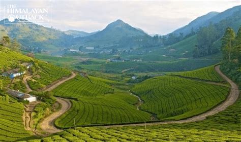 Touring Cardamom Hills–The Pride of Kerala