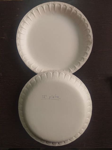 White Round Paper Plate For Serving Size Inch Dia At Piece