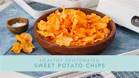 How To Make Healthy Crispy SWEET POTATO CHIPS In A Dehydrator YouTube