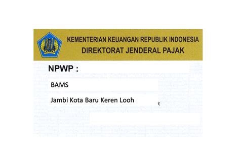 Cara Validasi NIK Menjadi NPWP Amanat UU Nomor 7 Tahun 2021 BAMS