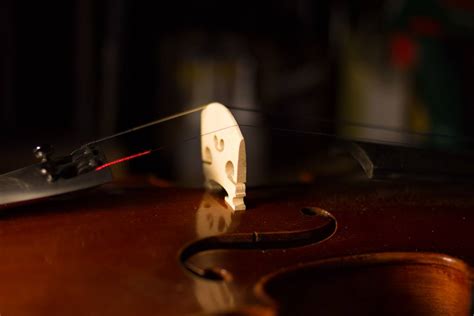 Accorder Son Violon Parfaitement Atelier De Lutherie Guillaume Kessler