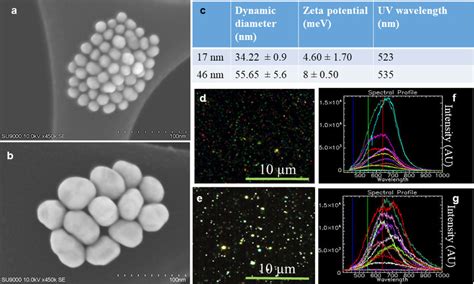 Characterization Of Gold Nanoparticles GNPs A B SEM Images Of GNPs