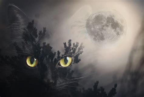 Mystic moon by Thunderi on DeviantArt