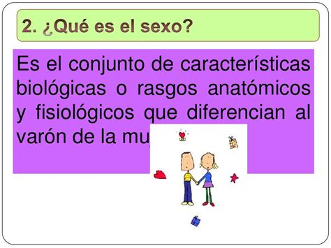 Mitos Y Creencias Sobre El Sexo