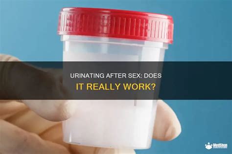 Urinating After Sex Does It Really Work Medshun