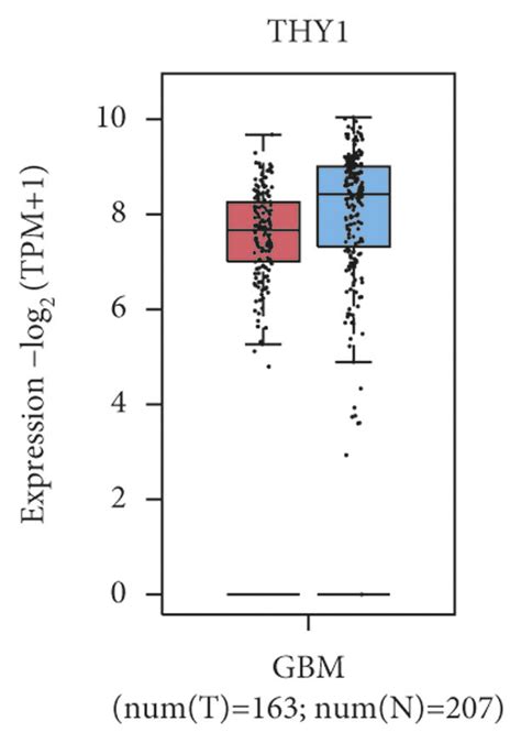 Detection Of Expression Levels Of The Hub Genes Between Gbm Samples