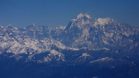 What new vegetation growth high in the Himalayas means