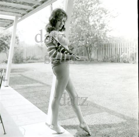 S Photo Sexy Nude Pinup Girl Pat Halstead Cheesecake T EBay