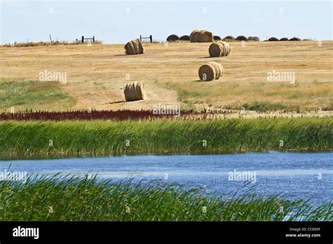 Pine Ridge Indian Reservations Lakota Oglala Sioux South Dakota In Usa