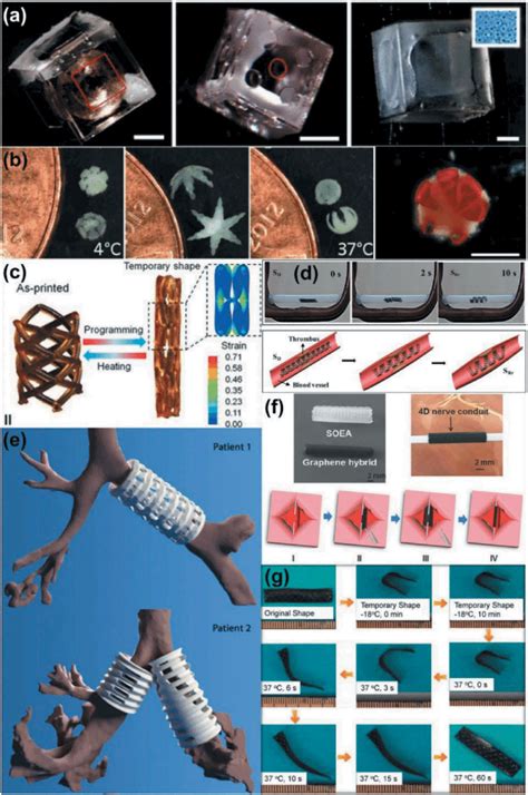 4d Printed Medical Devices A Photolithographically Fabricated