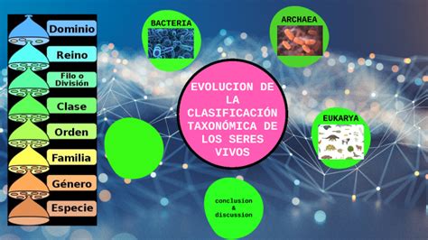 Clasificacion Taxon Mica De Los Seres Vivos By Wendy Rincon On Prezi