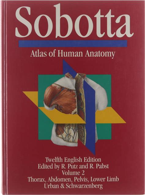 Sobotta Atlas Of Human Anatomy Vol Thorax Abdomen Pelvis Lower