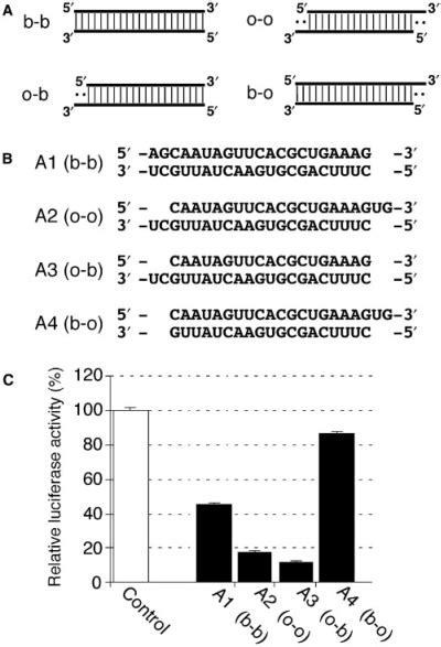 Structures And Activities Of Sirna Duplexes A Schematic Download Scientific Diagram