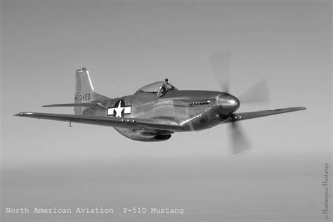 North American P 51 Mustang Alchetron The Free Social Encyclopedia