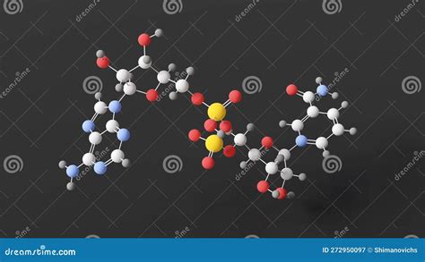 Nicotinamide Adenine Dinucleotide Molecule Molecular Structure