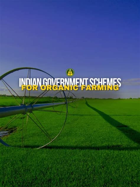 5 Government Schemes That Promote Organic Farming In India - Agriculture Review