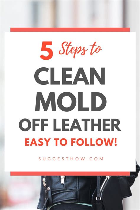 How To Clean Mold From Leather Jacket