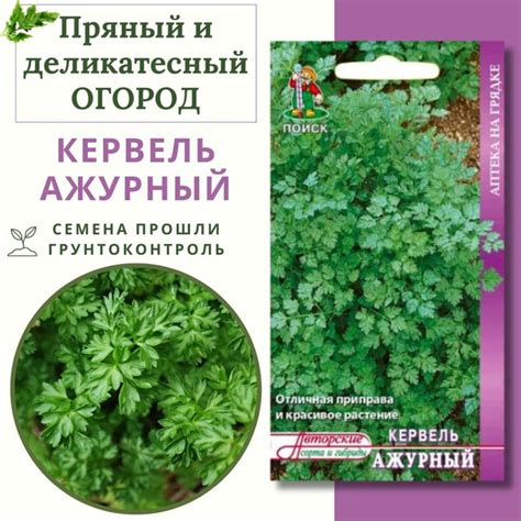Кервель ПОИСК Агрохолдинг pryanost_зеленый_бежевый - купить по выгодным ...