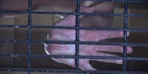 Restrained Sub Toyed In Ass By Machine Porn Videos