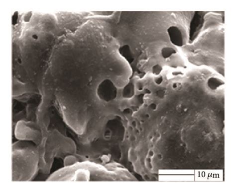 Surface morphology of the A356 alloy after 15 min: (a) and (d) are ...