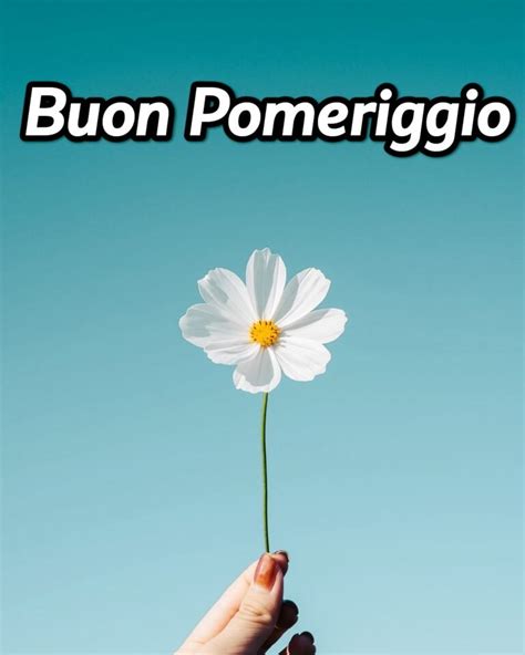 5656 Buon Pomeriggio Autunnale Immagini Per Whatsapp Nuove Albero