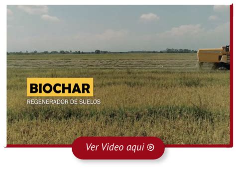 Biochar Blanquita