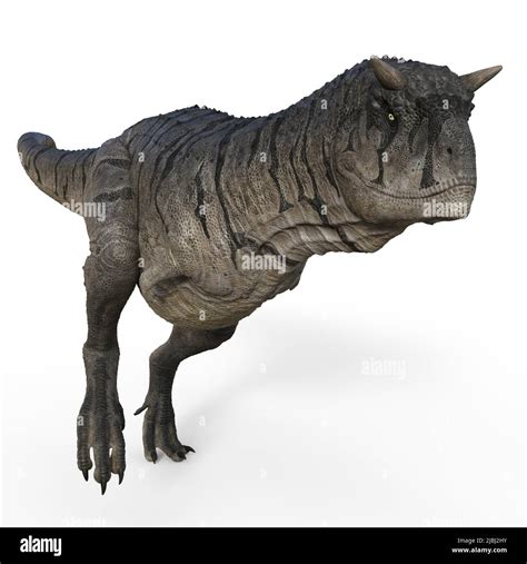 3d Illustration Of An Isolated Dinosaur Carnotaurus Stock Photo Alamy