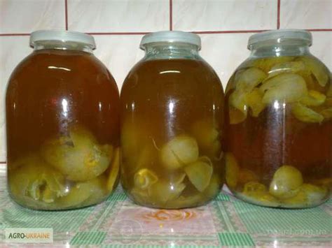 Продам/купити гриб Веселка.Настойка гриба Веселка — Agro-Ukraine