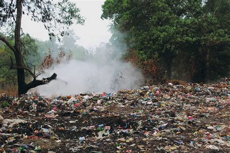 150 millones de toneladas de basura calientan nuestra tierra cada día