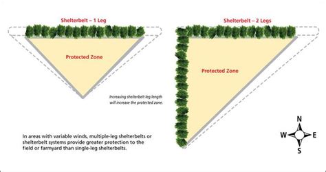 Tips On How To Orient Your Shelterbelt Towards The Wind For Maximum