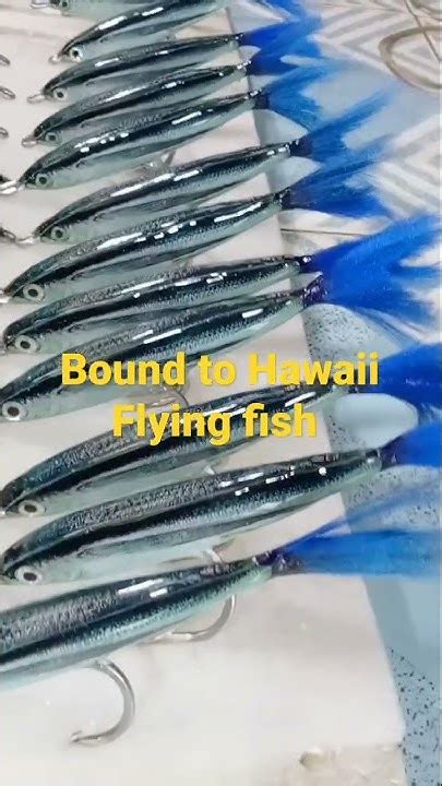 Diy Flying Fish Youtube