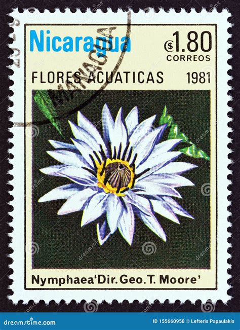 NICARAGUA CIRCA 1981 A Stamp Printed In Nicaragua Shows Nymphaea