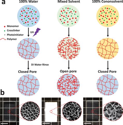 a) Schematic of the mixed solvent photopolymerization technique which ... 