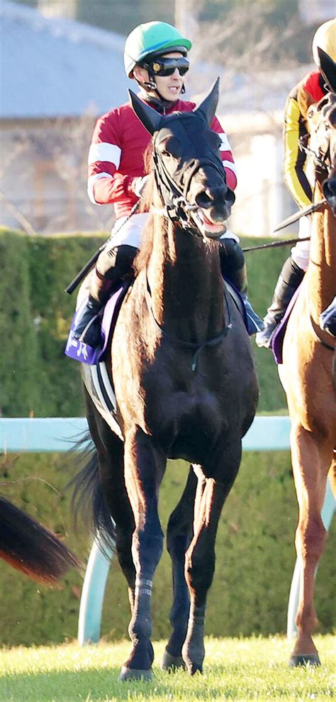 【藤田晋の新人馬主日記】高額馬でも「ビシバシと」鍛えてほしい Umatoku 馬トク