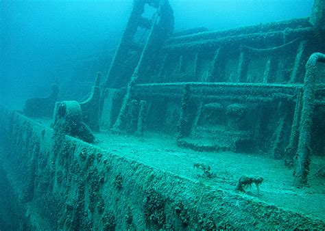 The Best Scuba Diving in Tobermory • Scuba Diver Life