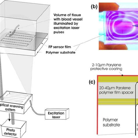 A Schematic Of The Backward Mode Photoacoustic Imaging System B