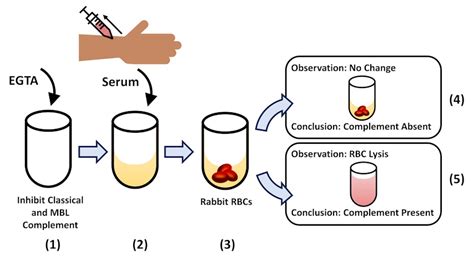 Appendix Summary Of Lab Diagnostics Using Immunological Techniques Basic Concepts In Applied