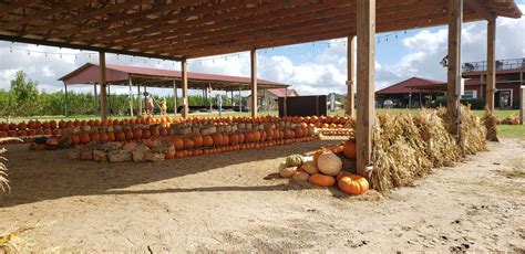 Southern Hills Farms - Fall Festivals ⋆ malarkey