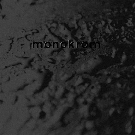 monokrom lp | monokrom | ant-zen