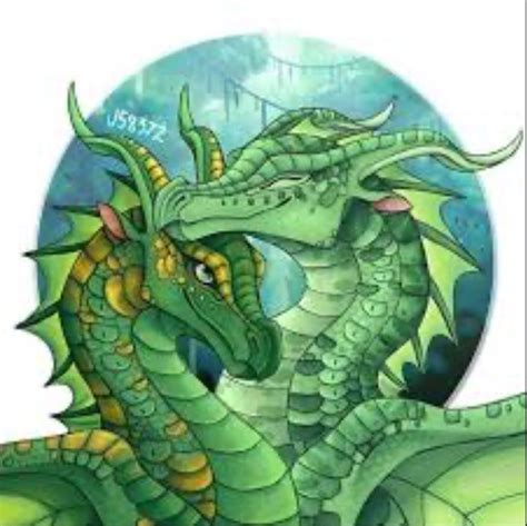 Willow & Sundew WoF | Wings of fire dragons, Wings of fire, Fire art