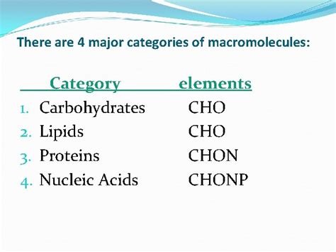 The Structure And Function Of Macromolecules Chapter 6