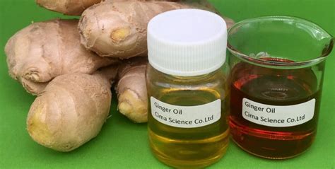 Ginger Extract Supplier 5 Gingerols Bulk Powder Oil Cima Science