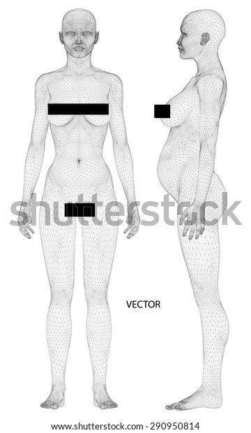 Computer Generated Rendering Naked Pregnant Woman Stock Vector Royalty