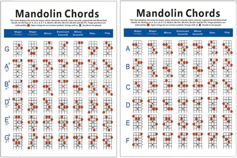 Amazon Mha Poster Mandolin Pocket Reference Pc Mandolin Mandolin